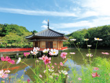 花畫像