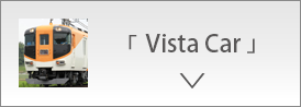 Vista Car