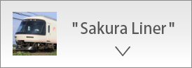 Sakura Liner