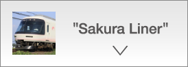 Sakura Liner
