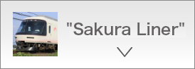 Sakura Liner
