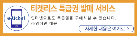 e-ticket