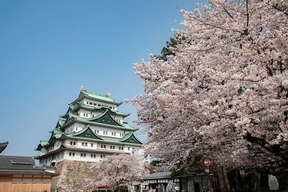 ©the Nagoya Castle Office.