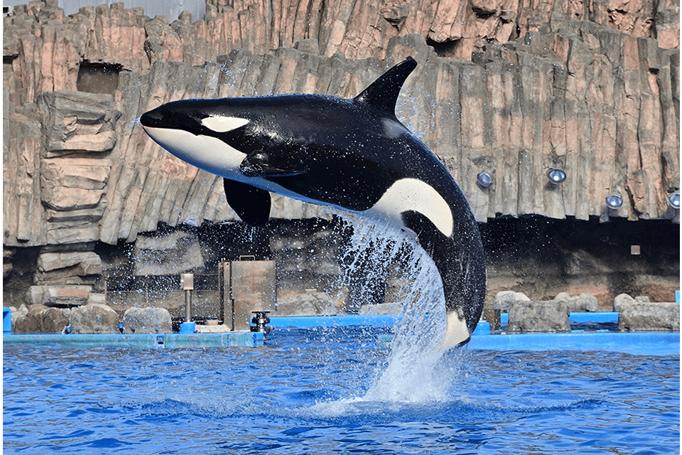 ©Port of Nagoya Public Aquarium