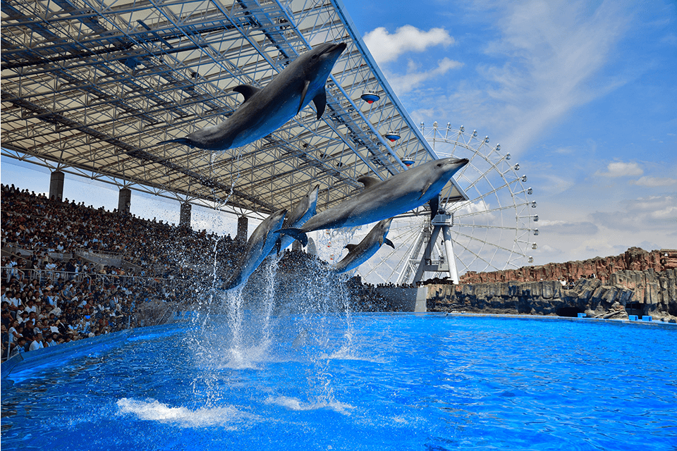 ©Port of Nagoya Public Aquarium