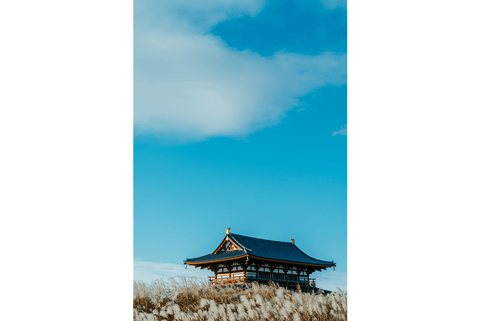 ©Yuta Togo