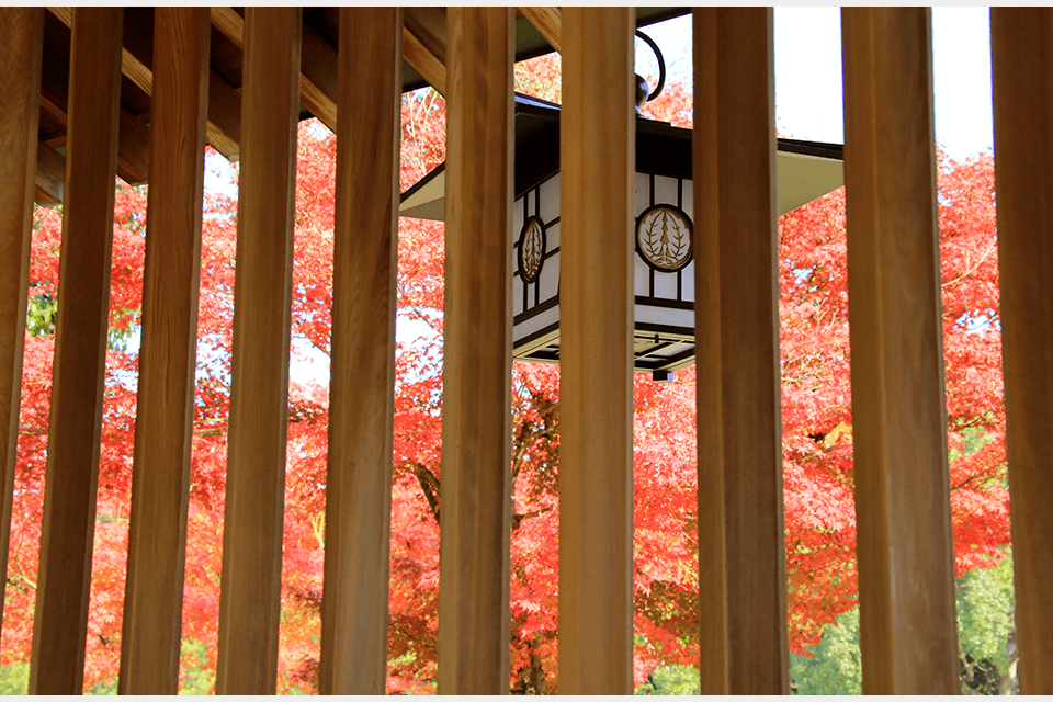 ©Kashihara Jingu.
