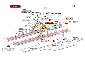 鳥羽