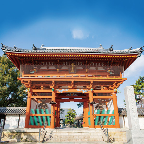 葛井寺（ふじいでら）の寫真