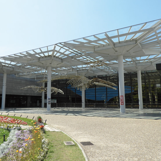 大阪市立自然史博物館の寫真