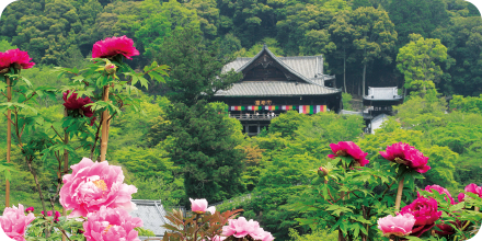 長谷寺