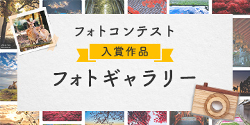 フォトギャラリー