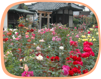 3.バラ園