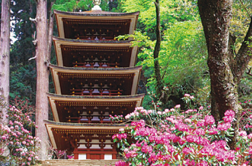 室生寺?大野寺コース
